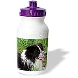 Dogs Border Collie - Border Collie - Water Bottles