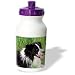 Dogs Border Collie - Border Collie - Water Bottles