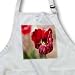 A Very Close Up of a Red Bulb Flower With a Yellow Center and Blurred Background of Green - BLACK Full Length Apron With Pockets 22w X 30l