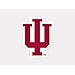 Wincraft NCAA Indiana University Perfect Cut Color Decal, 4