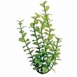Bacopa Aquarium Plant, 12" Green