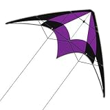 X-KITES(エコスポーツカイト) XL Sport 70 スポーツパープル