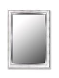Torino Mirror in Silver Petite with Stainless Liner Size: 37
