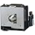 Sharp Replacement Projector Lamp (ANXR10L2)