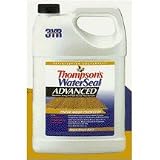Advanced Tinted Wood Protector - 11721 1G Hon Gold Wd Protector by THOMPSON & FORMINC