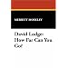 David Lodge: How Far Can You Go? (Milford Series)