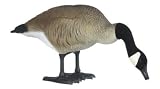Hunting: Big Foot Flocked Head Canada Feeder Goose Decoys