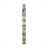 Kikkerland Horizontal 4 by 6-Inch Photo Strip