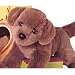 Plush Coco Chocolate Lab 16