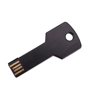 16GB Metal Key USB 2.0 Flash Drive Black