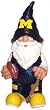 NCAA U of M University of Michigan Team Gnome