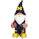 NCAA U of M University of Michigan Team Gnome