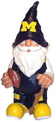 NCAA U of M University of Michigan Team Gnome