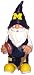 NCAA U of M University of Michigan Team Gnome