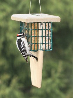 Duncraft Double Tail Prop Suet Feeder