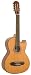 Lucida LG-BQ1 Bajo Quinto, Acoustic