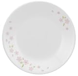 iwaki �R���[�� ������ ���M5������ B106-SR