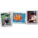 PHOTOGRAPHIC LEARNING CARDS VERBS