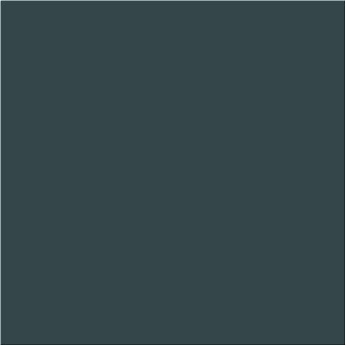 large image
