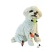 Bichon Frise Sandicast Holiday Ornament