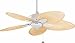 Tools & Hardware : Fanimation Ceiling Fans FP7500MW Windpointe Five Blade Matte white Tropical Indoor Fan 44"