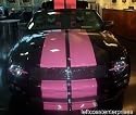 PINK 10" Dual LeMans Racing Stripes For Mustangs 05-09