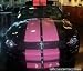 Hi-Performance PINK 10 Dual FX Racing Stripes For Mustangs 05-09