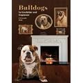 Bulldogs in Geschichte und Gegenwart