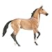 Akhal Teke - 2007 Limited Edition
