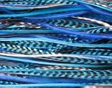 Sexy Sparkles 4"-6" True Blues & Grizzly Genuine Rooster Feathers for Hair Extension-