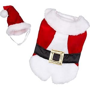 Dog Santa Costume