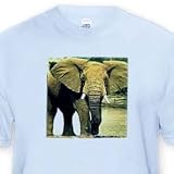 African Elephant - Toddler Light-Blue-T-Shirt (3T)