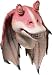 Star Wars Jar Jar Binks Mask