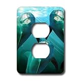 Dolphins - Curious Dolphins - Light Switch Covers - 2 plug outlet cover
