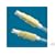 Tubing for First Issue Pump in Style Advanced, Symphony, Lactina & Classic Breastpump - Bulk Pack of 2