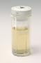 Tea Cup Thermos - Large Size 15 Oz