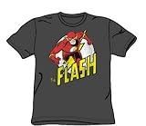 The Flash Run Flash Run Adult S/S T-shirt in Charcoal by DC Comics
