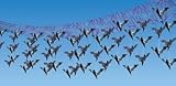 Bat Attack Foil Ceiling Decor