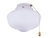 Emerson CFSLK1AW Schoolhouse Light Fixture, 23-Watt Medium Base Compact Fluorescent Bulbs 8.5-Inch Wide, 6.3-Inch High, Summer White