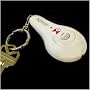 LED Light & Recorder Keychain