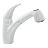 Moen 7560W extensa Glacier one-handle low arc pullout kitchen faucet