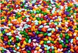 Rainbow Colored Chocolate Coated Sunflower Crunchies 2 lbs.