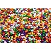 Rainbow Colored Chocolate Coated Sunflower Crunchies 2 lbs.