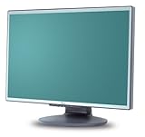 Fujitsu Scaleoview L19W-3 48,3 cm (19 Zoll) widescreen TFT Monitor silber/schwarz 2x Analog (Kontrast 850:1, 5 Ms Reaktionszeit)