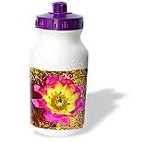 Jerry Funk Photo Artisan Flowers - Decorative colorful garden botanic plant SW Southwest Desert cactus yellow gold red flower abstract - Water Bottles