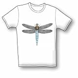 Dragonfly Women