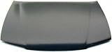 94-95 HONDA ACCORD HOOD, 4-cylinder Models (1994 94 1995 95) 1123 60100SV4010ZZ