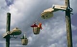 K�rbchenseilbahn von Kraul - 