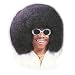 Afro Oversized Wig