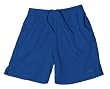 Quiksilver Performance Essential Short - Color: Royal,Size: Medium